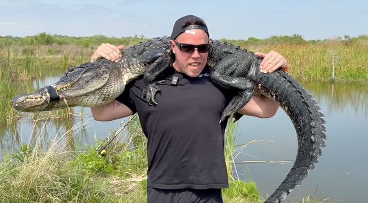 1010 High Risk Errors (ALS)