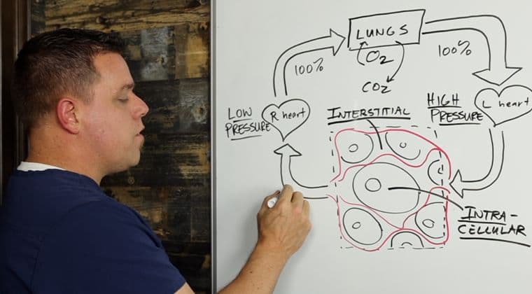 4001 Cardiac Anatomy and Physiology (ALS)